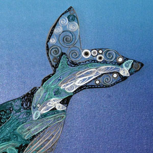 Quilled Humpback Whale Closeup