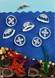 Quilled Moon Jellyfish On Reef