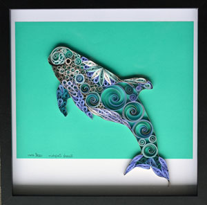 Quilled Risso's Dolphin