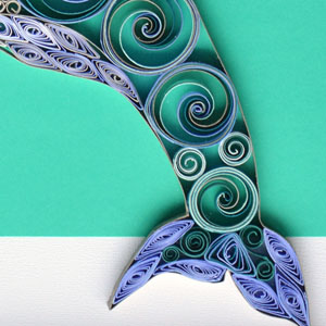 Quilled Risso's Dolphin Closeup