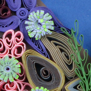 Quilled Yellow Eyed Rockfish