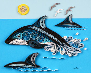 Quilled Humpback Whale Closeup