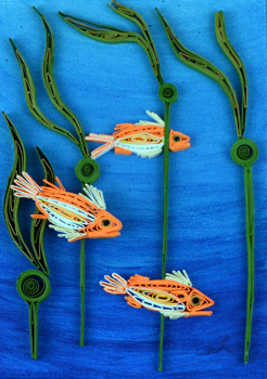 Quilled Rockfish